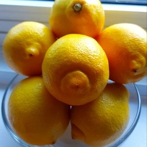 Meet your Posher, Serena